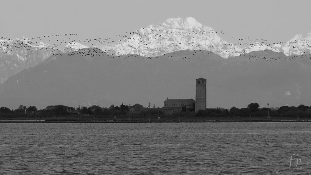 Isola di Torcello